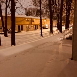 Z〇Z〇女人另类Z〇Z〇豆奶
